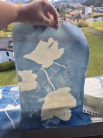 IMAGE 2024-11-24 18_41_43.jpg